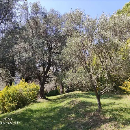 Pool House Renoir With Heated Pool And Private Garden Ferienhaus Chateauneuf-Grasse