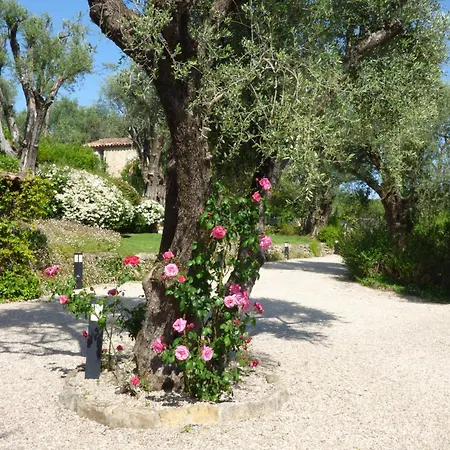 Pool House Renoir With Heated Pool And Private Garden Chateauneuf-Grasse