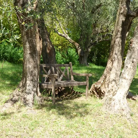 Ferienhaus Pool House Renoir With Heated Pool And Private Garden Chateauneuf-Grasse